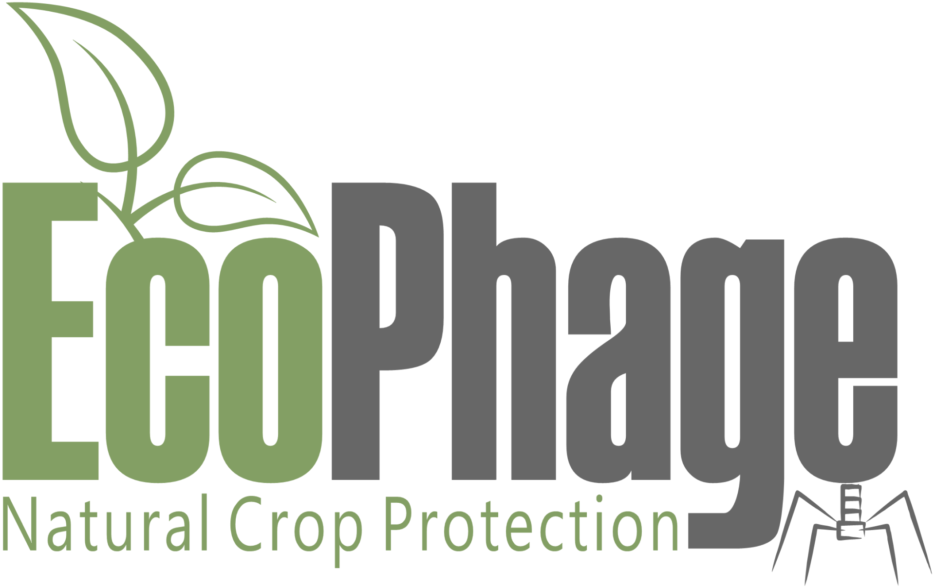 EcoPhage