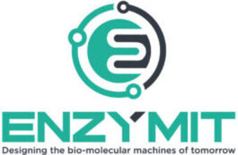 Enzymit